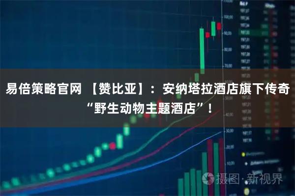 易倍策略官网 【赞比亚】：安纳塔拉酒店旗下传奇“野生动物主题酒店”！