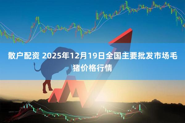 散户配资 2025年12月19日全国主要批发市场毛猪价格行情