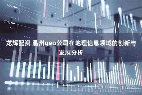 龙辉配资 温州geo公司在地理信息领域的创新与发展分析